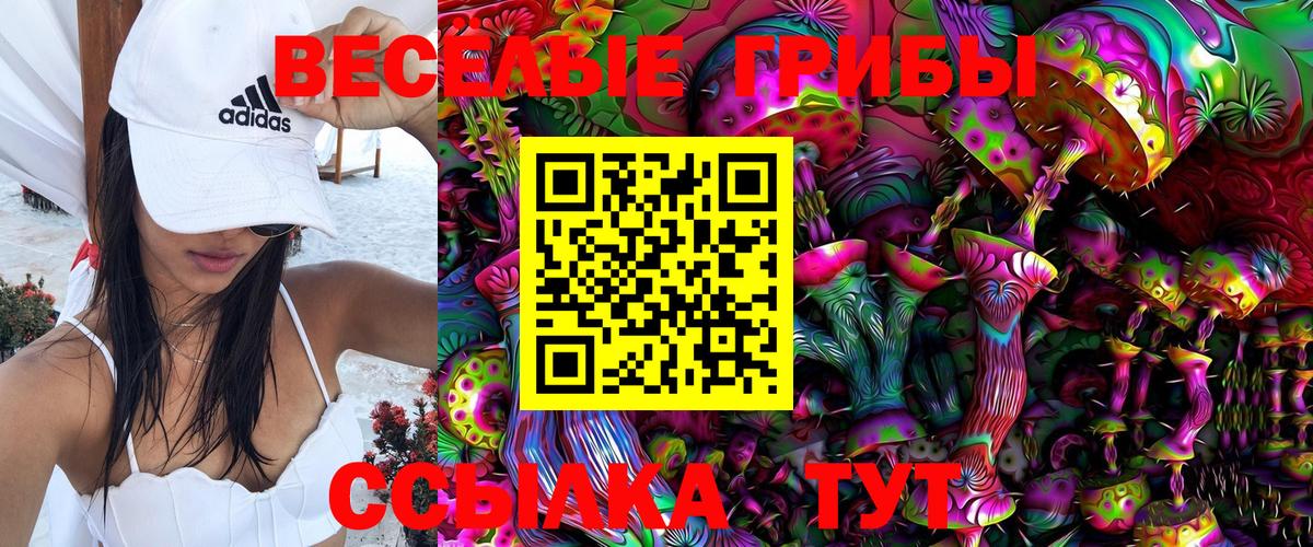 Канаш  Псилоцибиновые грибы Psilocybe  Вход с VPN 