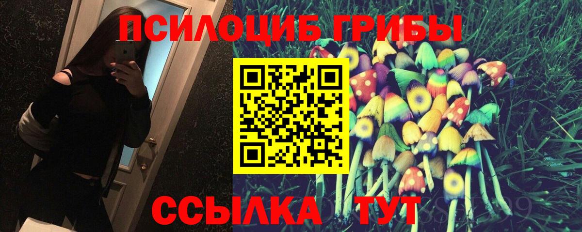 Псилоцибиновые грибы Psilocybine cubensis Канаш